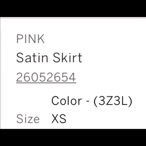 💋NWT PINK VICS SECRET SATIN SKIRT - Picture 2 of 2